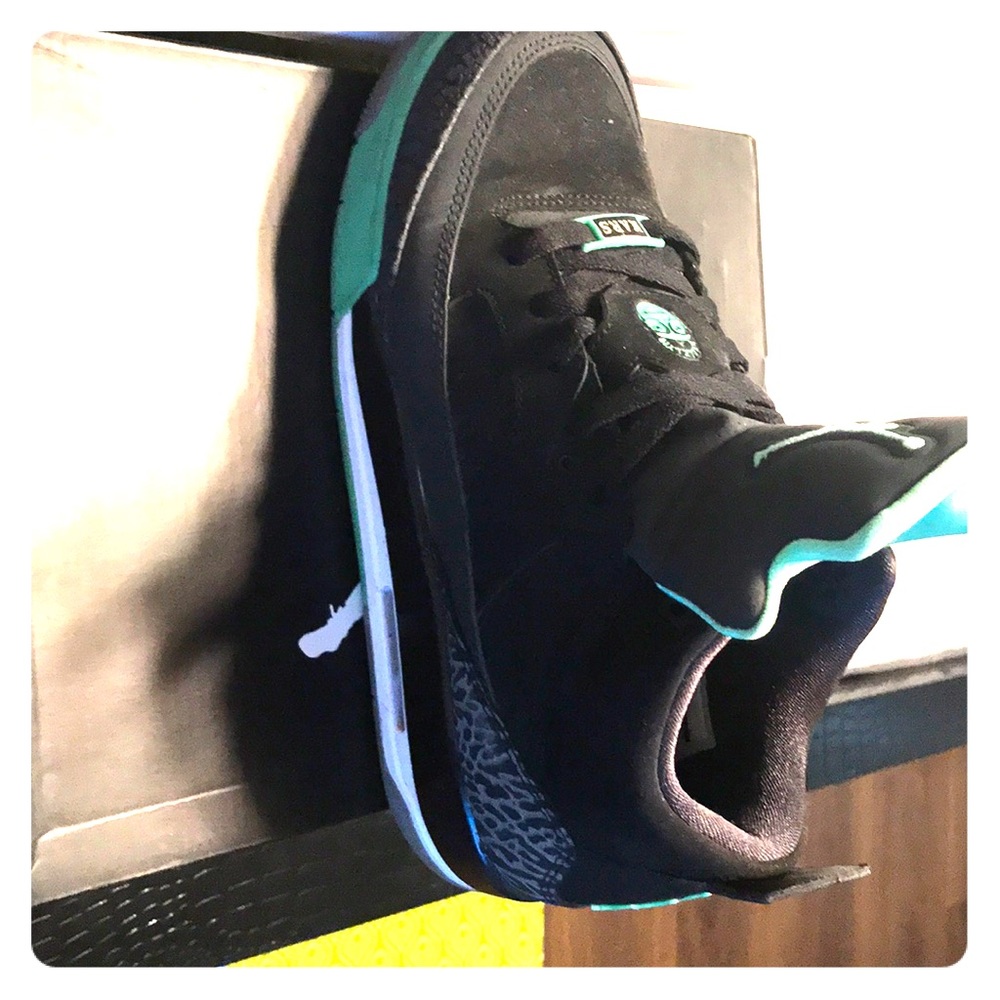 Air jordan 3s